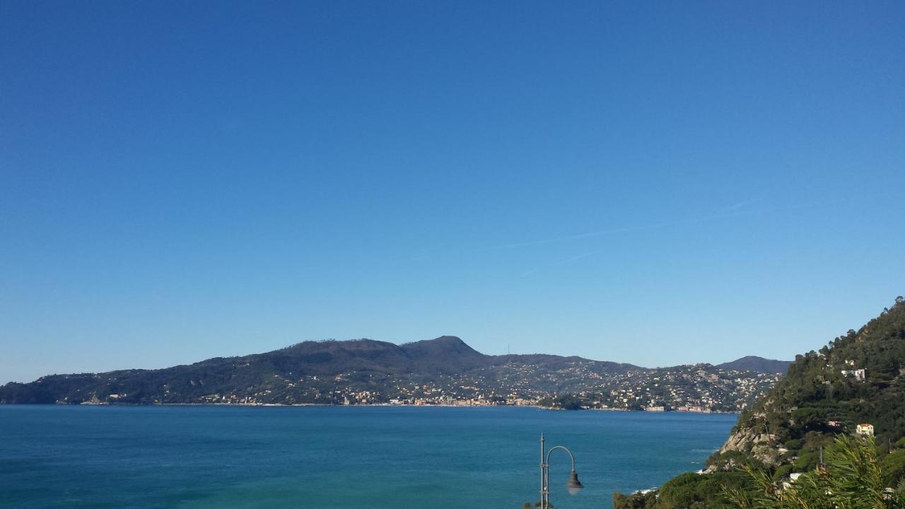 Vista Mare E Portofino - Sea And Portofino View Daire Zoagli Dış mekan fotoğraf