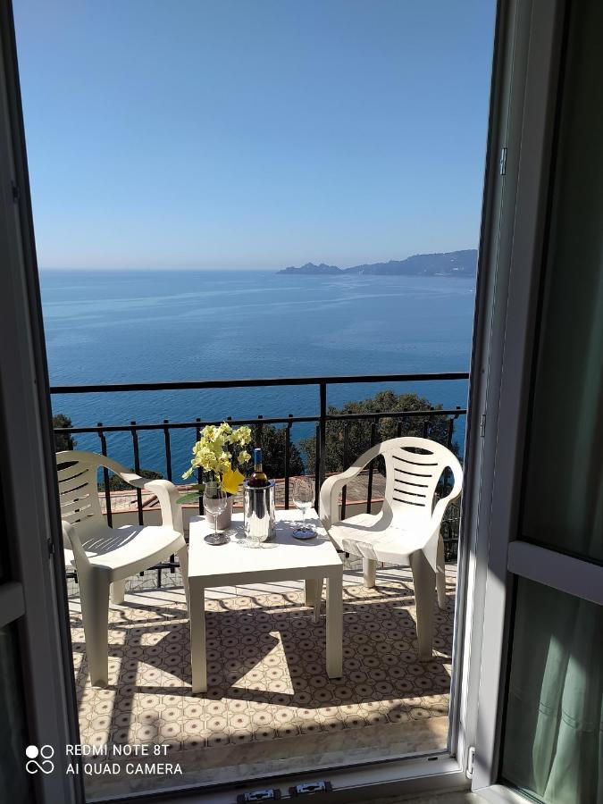 Vista Mare E Portofino - Sea And Portofino View Daire Zoagli Dış mekan fotoğraf